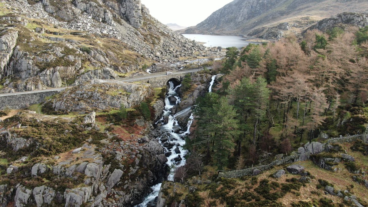 Oly Lowe tweet media