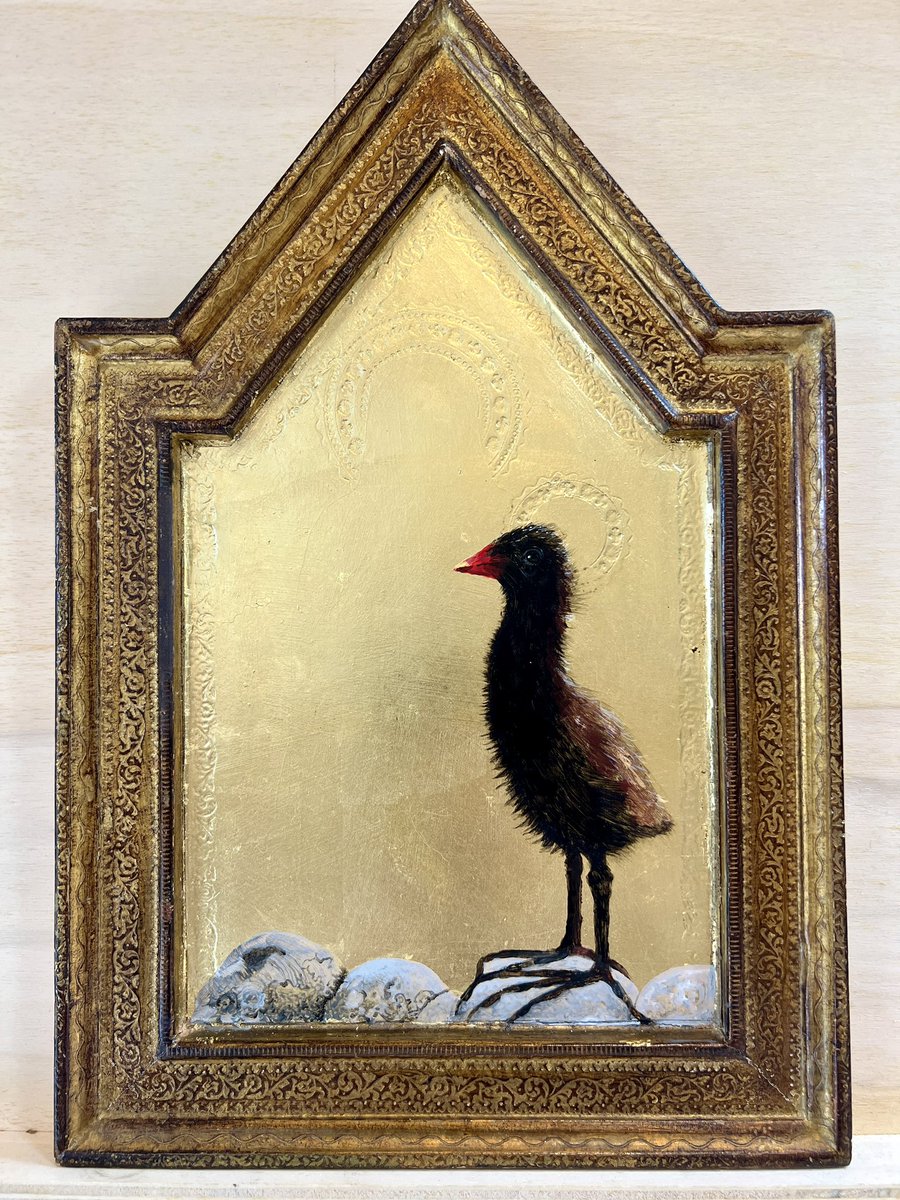 Friday comes around again. I hope you’re doing something nice this weekend. I will mainly be found hiding out in my studio, Painting marginal water plants around this moorhen chick.