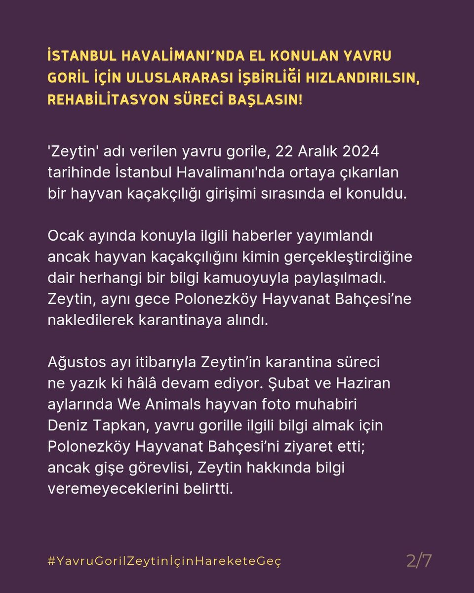 Yavru goril Zeytin’e, 22 Aralık 2024’te İstanbul Havalimanı’nda kaçakçılık sırasında el konuldu, 7 aydır Polonezköy’de tutsak!

Sosyal izolasyon, gelişimini tehdit ediyor. Zeytin’in geleceği için acil harekete geçilmeli!

<a href="/TCTarim/">T.C. Tarım ve Orman Bakanlığı</a> <a href="/FahrettinUlu_/">Fahrettin ULU</a>