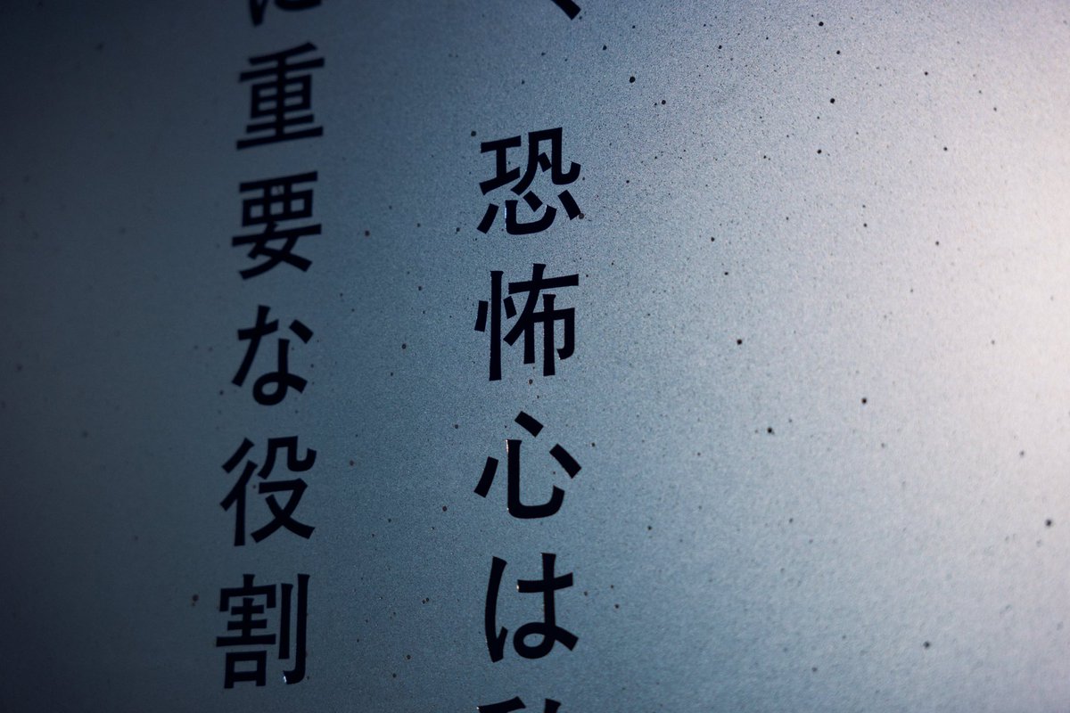 恐怖心展
kyoufushin.com

好評につき、延長が決定しました。

9/15まで恐怖心展開催してますので、皆さまぜひお越しください。