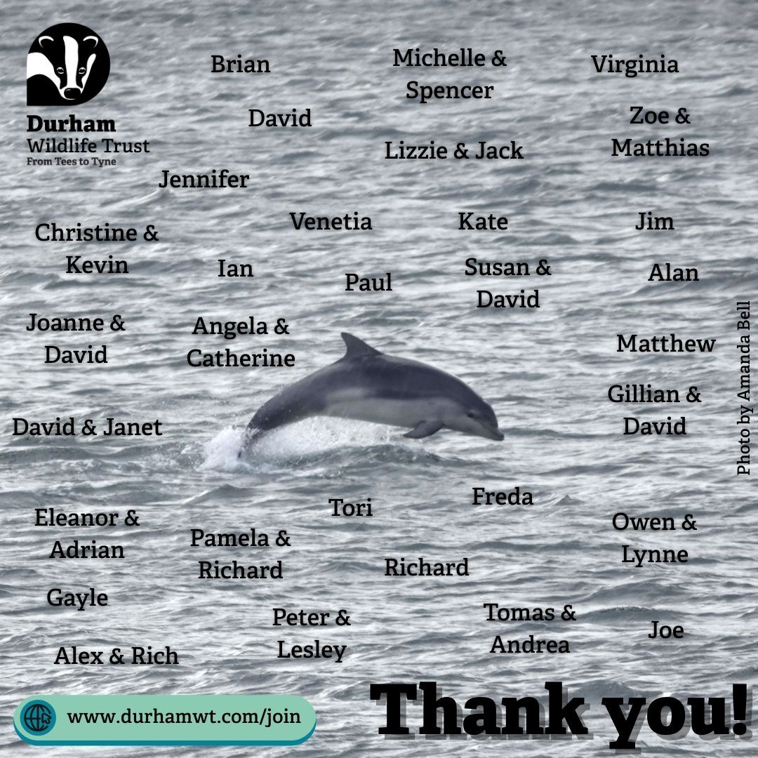 What a fin-tastic month July was! Thank you to all of our amazing supporters for your continuing support and welcome to our new members that joined the Trust in July 💚
If you have a love for wildlife and aren't yet a member, you can join today at durhamwt.com/join 🐬
