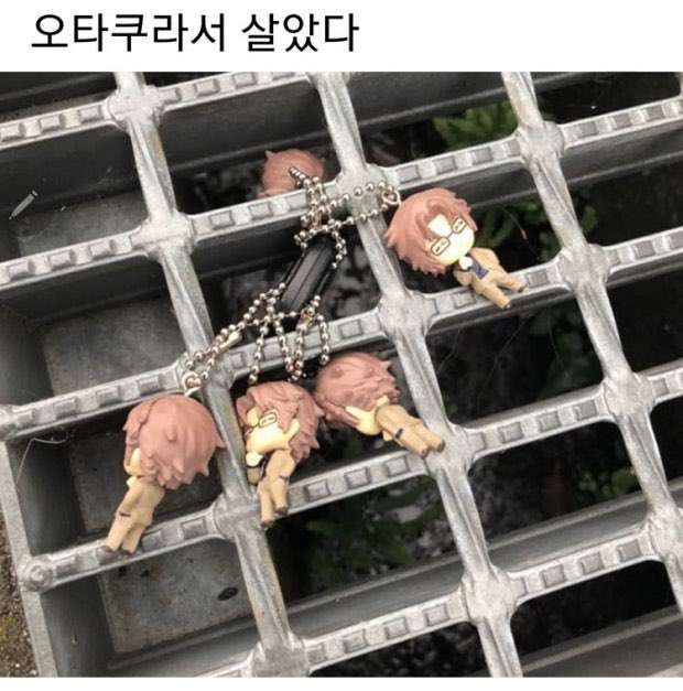 저는 흙수저입니다. 
있는 옷이라곤 어릴 때 입었던 비키니 한 장.