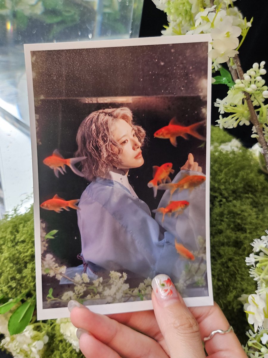 조선로미오 했다🪷