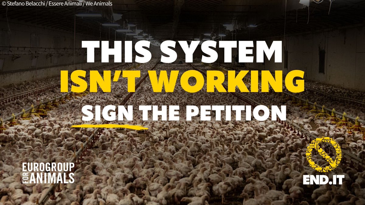 Eurogroup For Animals (@act4animalseu) on Twitter photo 🚨 Animal suffering. Global warming. Biodiversity loss. Pandemics.
Ending #FactoryFarming has never been more urgent!
Sign <a href="/CIWF_Global/">Compassion in World Farming International</a>'s petition calling on world leaders to transform our #FoodSystems urgently.
👉 Can we reach one million signatures?: bit.ly/45lrqai 🚨 Animal suffering. Global warming. Biodiversity loss. Pandemics.
Ending #FactoryFarming has never been more urgent!
Sign <a href="/CIWF_Global/">Compassion in World Farming International</a>'s petition calling on world leaders to transform our #FoodSystems urgently.
👉 Can we reach one million signatures?: bit.ly/45lrqai