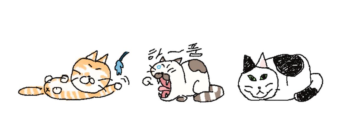 고양이들 사랑해