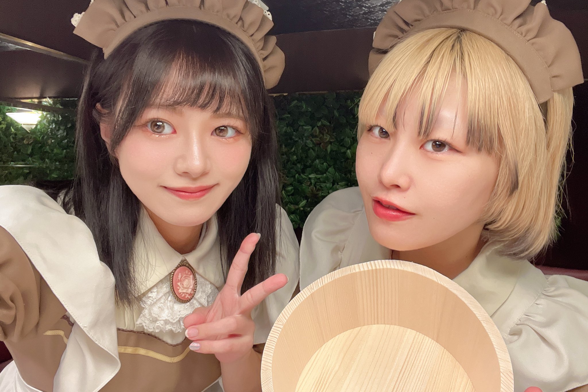 メイド喫茶とまり木🕊️ on X: 