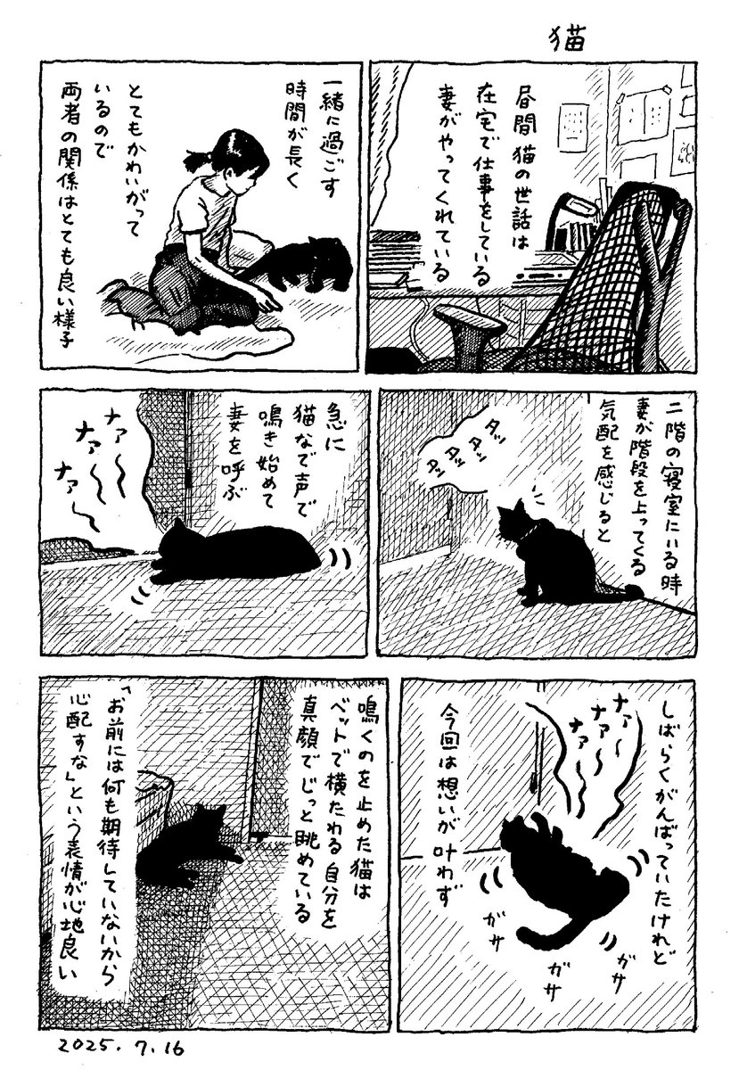 猫(2/3) 