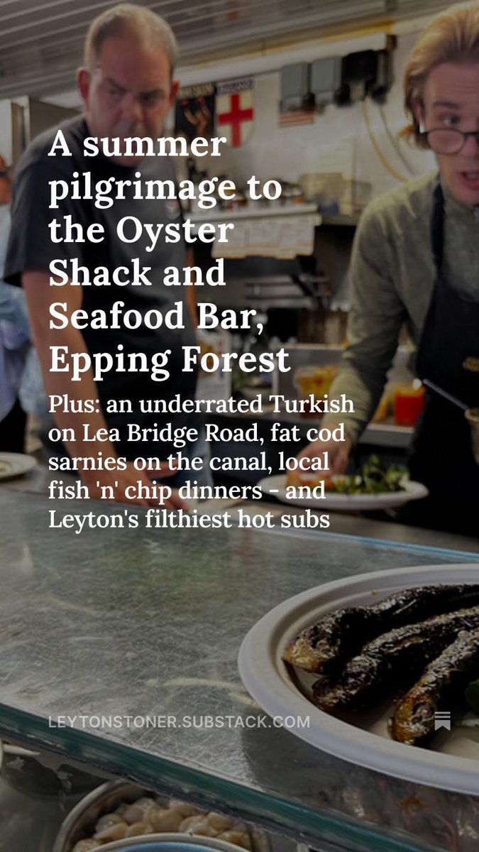 Summer Special out now! 🦪 

open.substack.com/pub/leytonston…