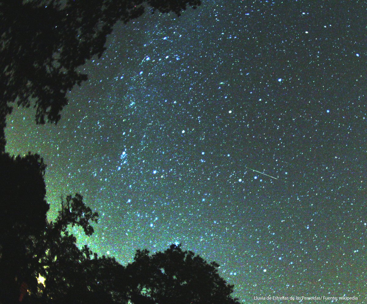 ¡Llegó agosto, el mes de las Perseidas! Visita nuestra web y descubre qué observar en el cielo durante este mes. Recuerda que si tienes alguna duda puedes escribirnos a planetario@museocienciavalladolid o acudir a alguna de nuestras sesiones.

🔭🔭tinyurl.com/yrfcjmxk