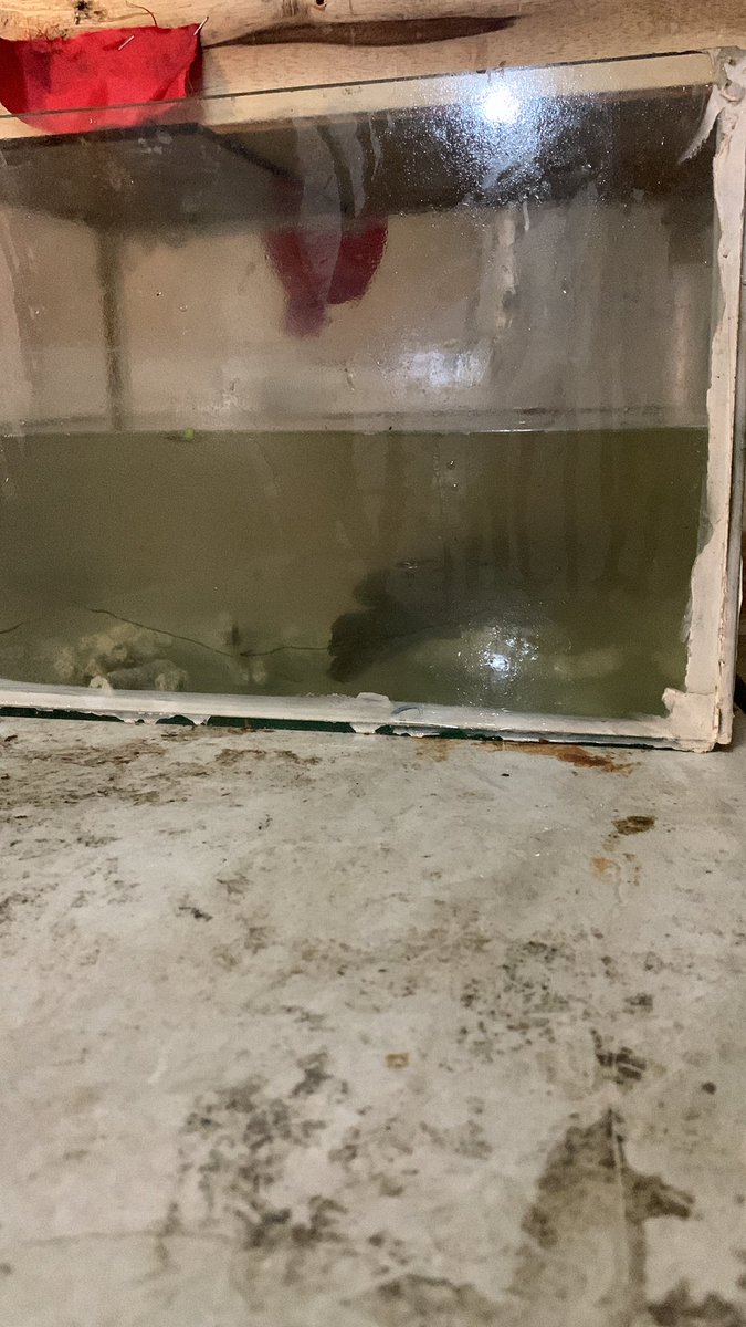 mancasking kotaskok🤙🏻