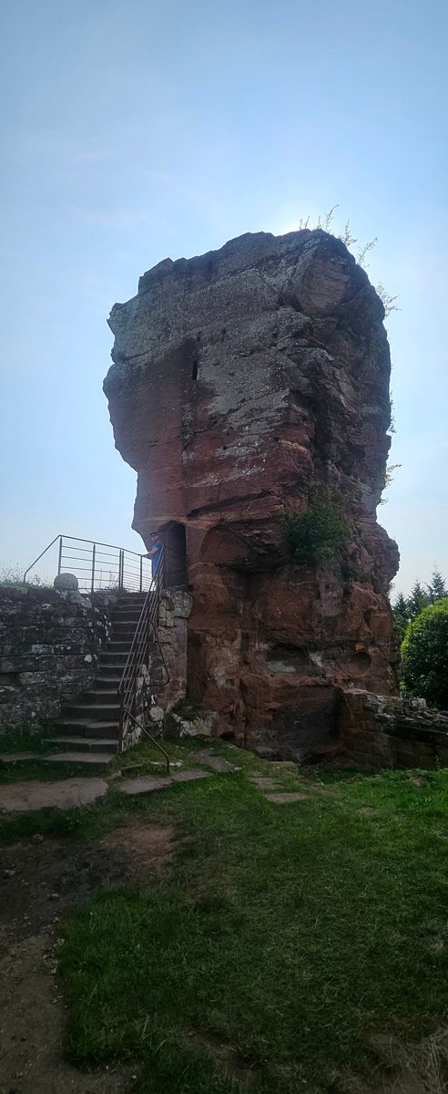 LaNinaCaracol's tweet photo. Après le Chemin des Cimes direction le château de #Fleckenstein en #Alsace. On explore ses ruines via moults escaliers et découvre les travaux entrepris pour le restaurer. Quel boulot! Quelques jeux en lien avec le Moyen-âge pour les enfants. Une belle vue depuis le sommet. Top! https://t.co/9T7Uh1Z90g