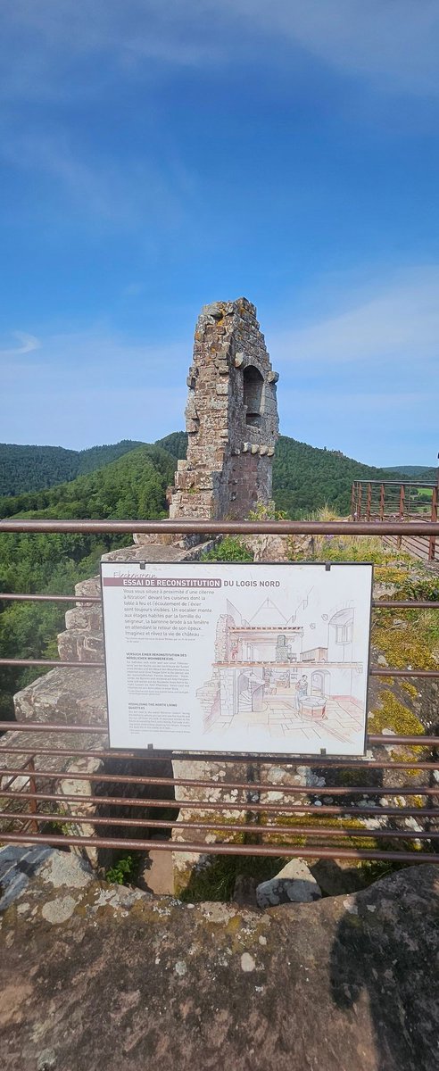 LaNinaCaracol's tweet photo. Après le Chemin des Cimes direction le château de #Fleckenstein en #Alsace. On explore ses ruines via moults escaliers et découvre les travaux entrepris pour le restaurer. Quel boulot! Quelques jeux en lien avec le Moyen-âge pour les enfants. Une belle vue depuis le sommet. Top! https://t.co/9T7Uh1Z90g