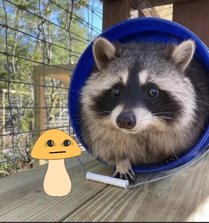 Chilling with a Hermit crab