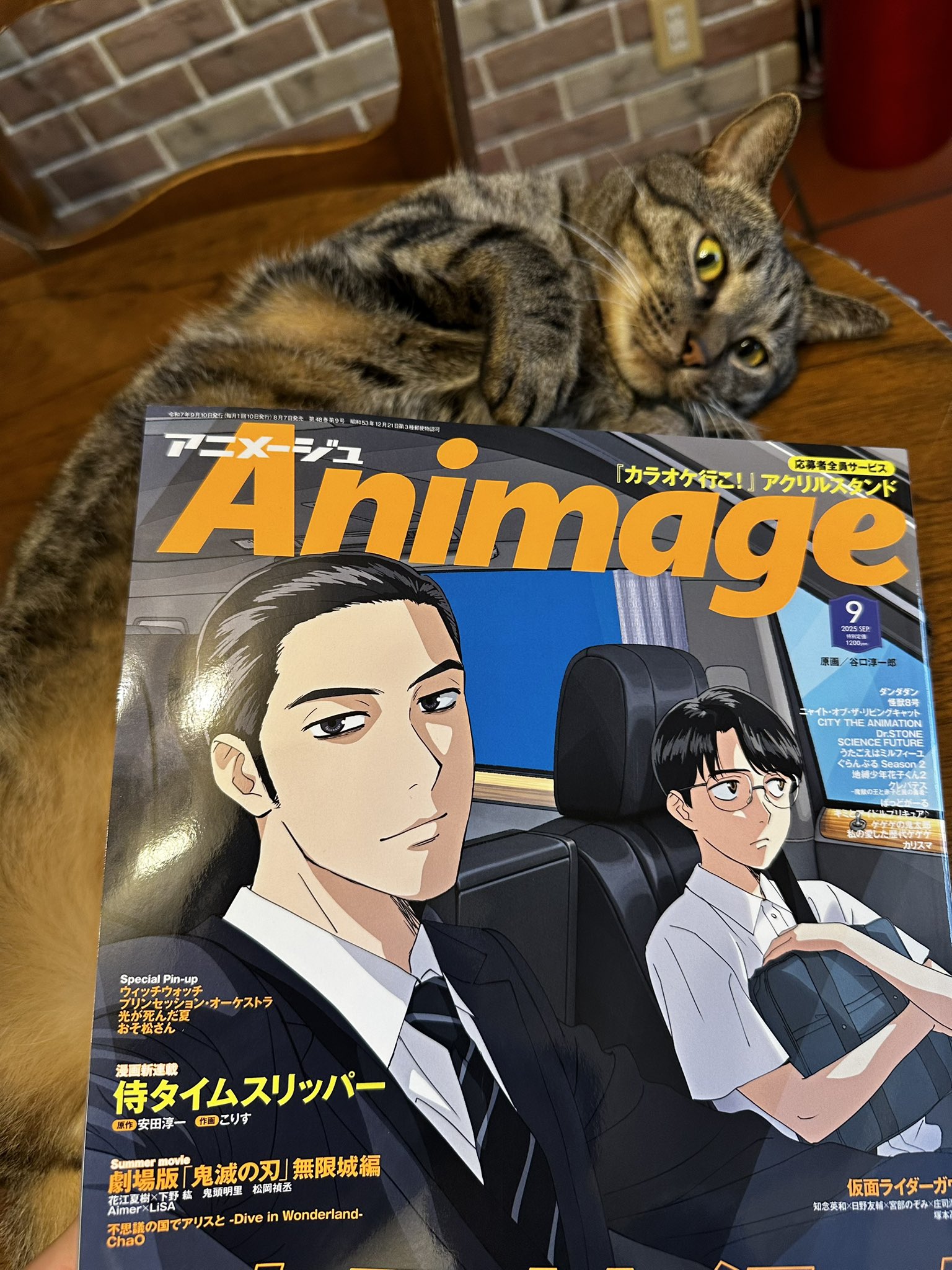 ネコさん専用⭐︎ 猫壱（necoichi）の商品一覧 | 猫との暮らしを豊かにする
