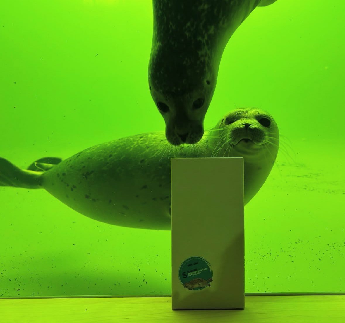 too green…. stop being green….