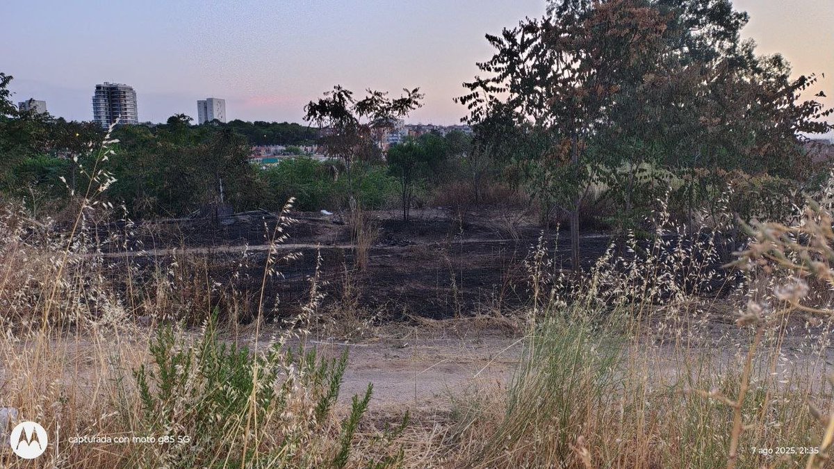 La semana pasada nos preguntábamos qué pasaría esta semana. La respuesta: un nuevo incendio.

Hoy nos preguntamos qué puede pasar en plena ola de calor y por qué nadie protege y ayuda a las personas que viven en el parque y a las familias que lo visitan.