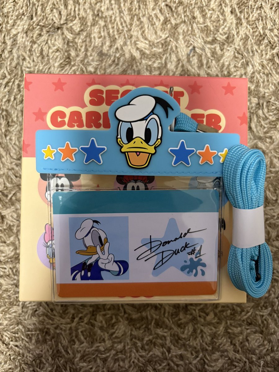 ディズニーキャラクターズ　バラ売り【1枚300円以下】&quot;3枚以上お値引き⭐︎&quot; 5個バラ売り〕ハート すらいどきゃん／ディズニープリンセス 5個