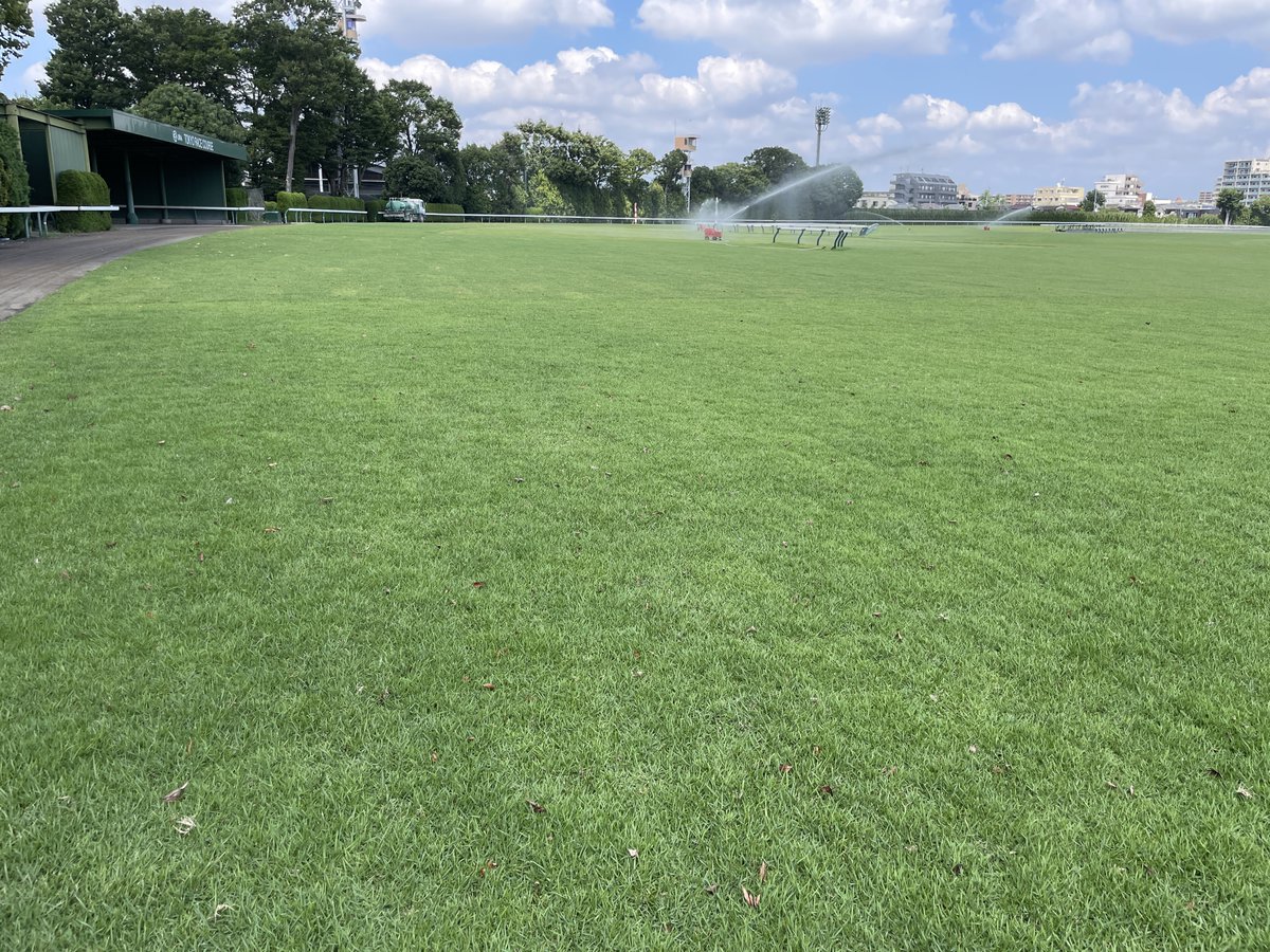 KankyoDaizen's tweet photo. 液体たい肥 #土いきかえる　がJRA 東京競馬場で採用されています🌱
傷んだ芝の回復力を評価いただきました。
芝の景観も上がり、馬さんの脚にも優しい芝に🐎
環境大善は人も地球も健康にしていきます🌎 https://t.co/3sQiPJbrWI