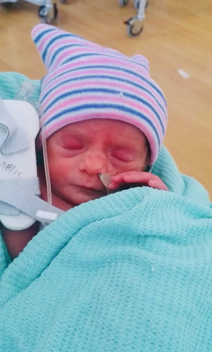 The Brompton Fountain tweet media