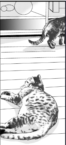 今日は世界猫の日と言う事なので、今年描いた猫など
動物苦手なので頑張りました 