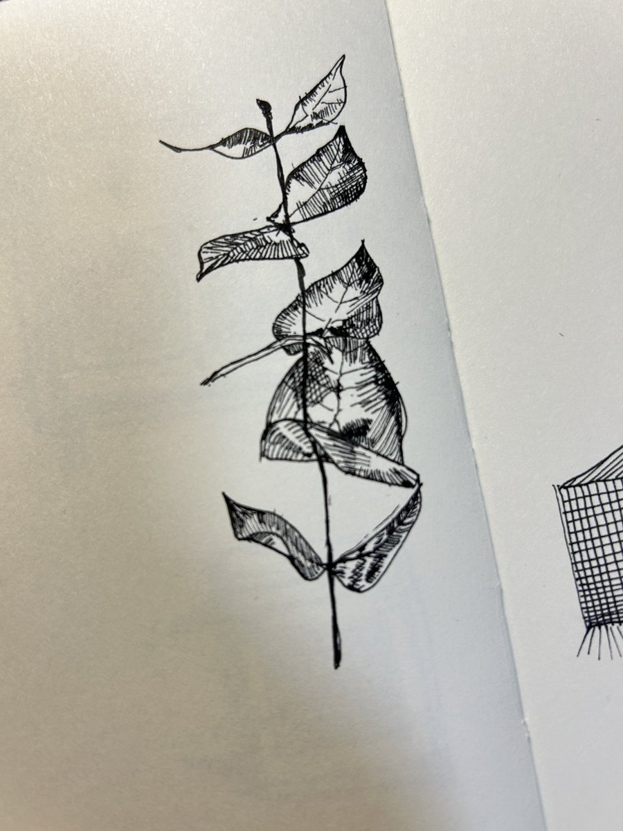 7yuwn's tweet photo. 🍂 =/
.
.
#art #sketchbook https://t.co/CJNBdqNG97