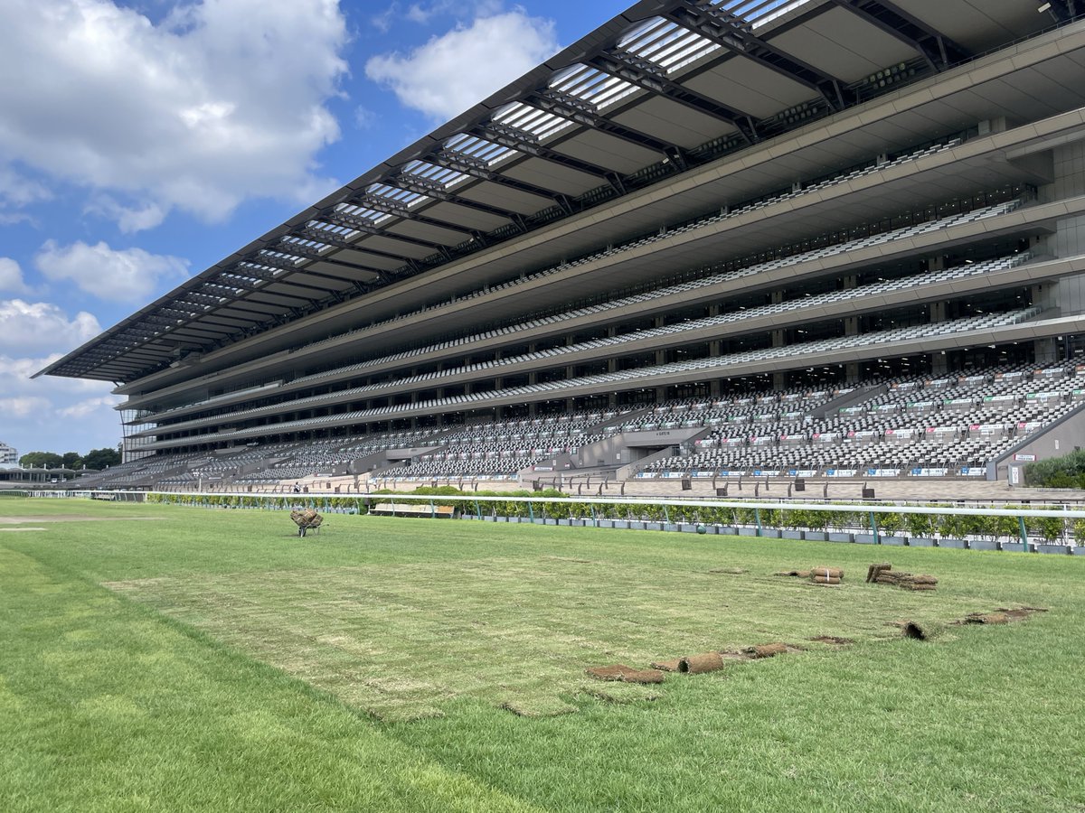 KankyoDaizen's tweet photo. 液体たい肥 #土いきかえる　がJRA 東京競馬場で採用されています🌱
傷んだ芝の回復力を評価いただきました。
芝の景観も上がり、馬さんの脚にも優しい芝に🐎
環境大善は人も地球も健康にしていきます🌎 https://t.co/3sQiPJbrWI