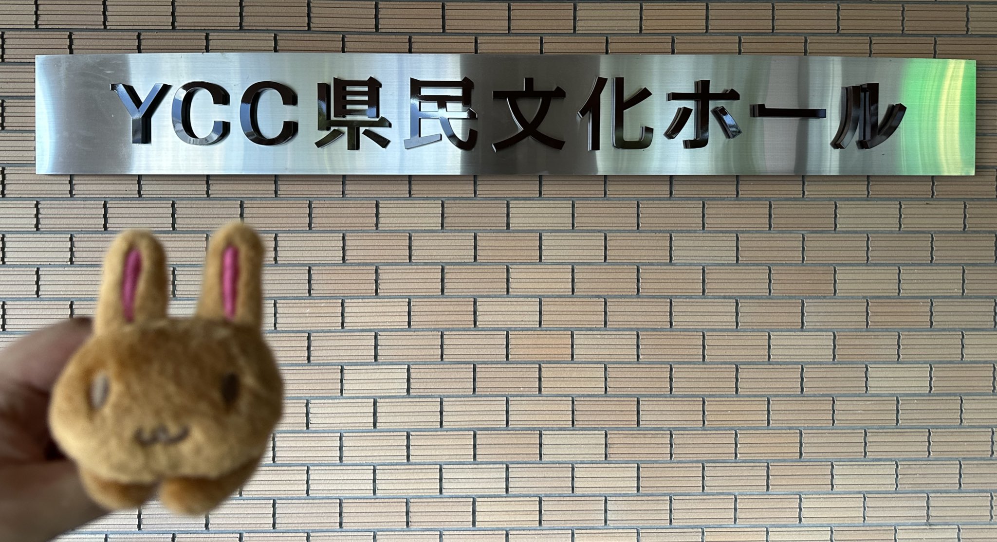 ゼノ@ゆかり王国「田村ゆかりLOVE♡LIVE 2025Wonderful