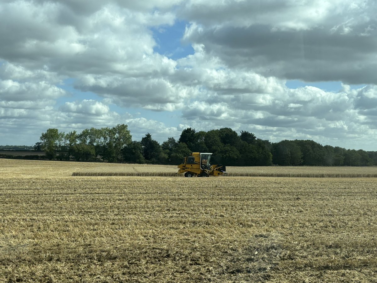 Trial plot harvesting day, wonder if it will throw anything interesting up?  

I suspect there’ll be a couple of things which I’ve noticed this year that could, but we’ll see!