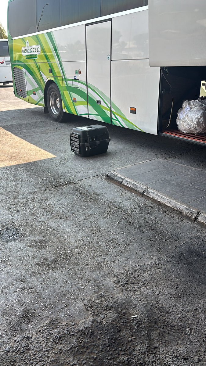 hellokitty tweet media