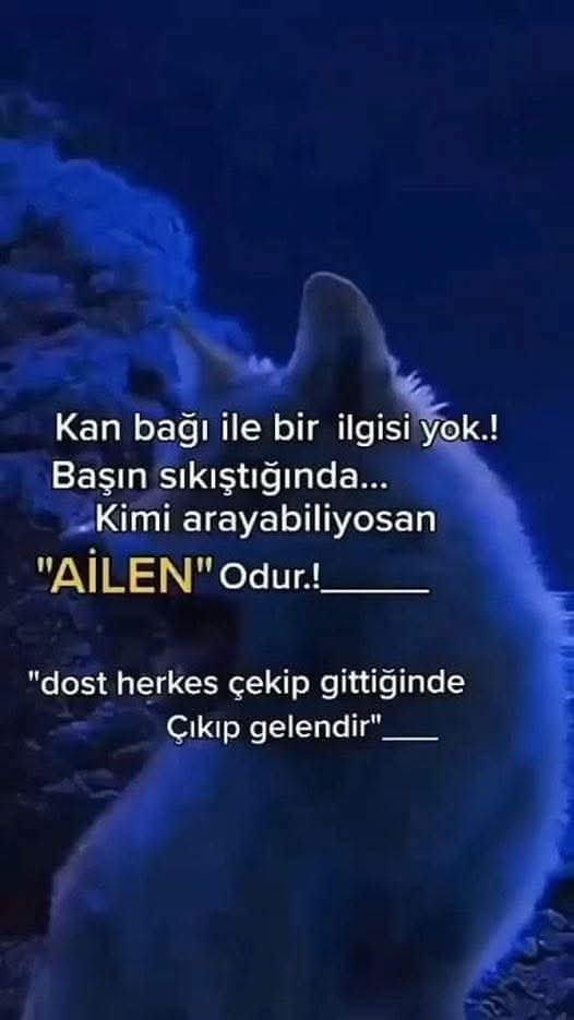 ismail yalcin (@asikurt82) on Twitter photo 