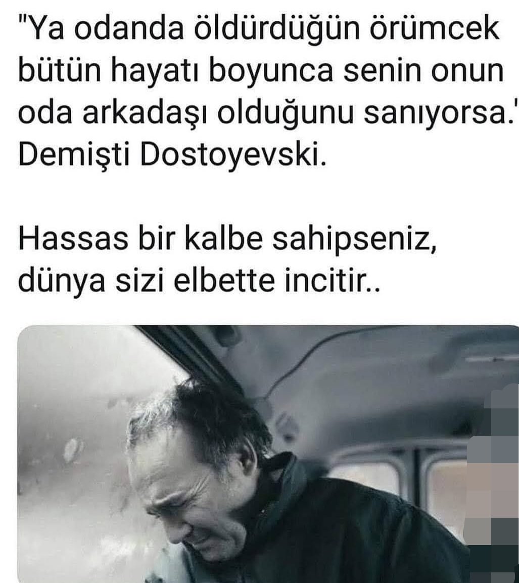 ismail yalcin (@asikurt82) on Twitter photo 