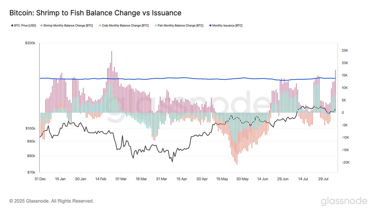 Wallets with under 100 BTC are accumulating supply faster than issuance,  with monthly balance growth exceeding 17,000 BTC, compared to 13,850 BTC  issued.