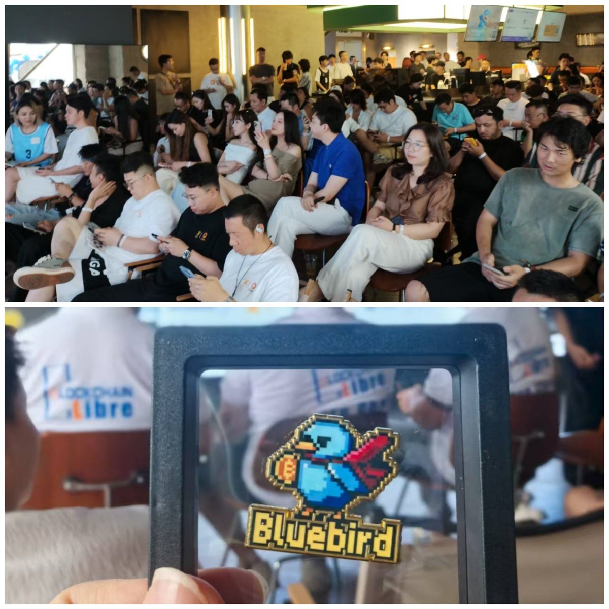 虎哥|蓝鸟会🕊| tweet media