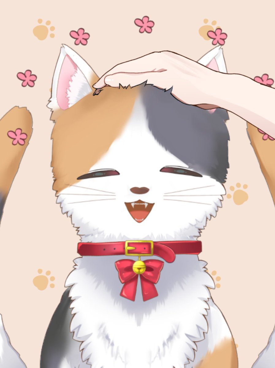 みけたん みけたん🐱🟠@黄丹三結(おうに みけ) (@miketan1227) / X