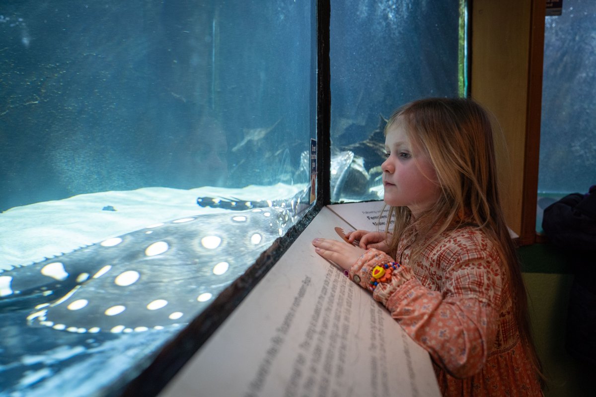 Bolton Museum and Bolton Aquarium have been voted in the top 20 most visited free attractions in the North West!🐟🎨

The museum has collections ranging from Egyptian mummies to local wildlife and Bolton Aquarium is home to more than 70 varieties of fish!

#BoltonBornToPerform