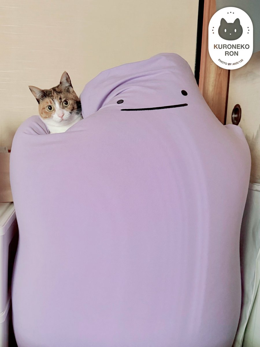 メルねこ様オーダー メルねこ様オーダー C03_5680_ddbef765-ab67-47fa-
