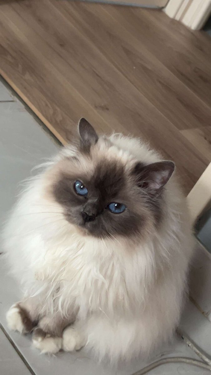 nkmoisii tweet media