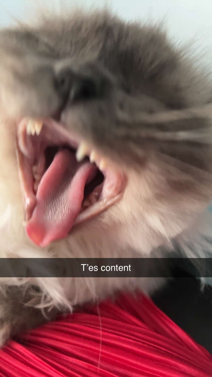 nkmoisii tweet media