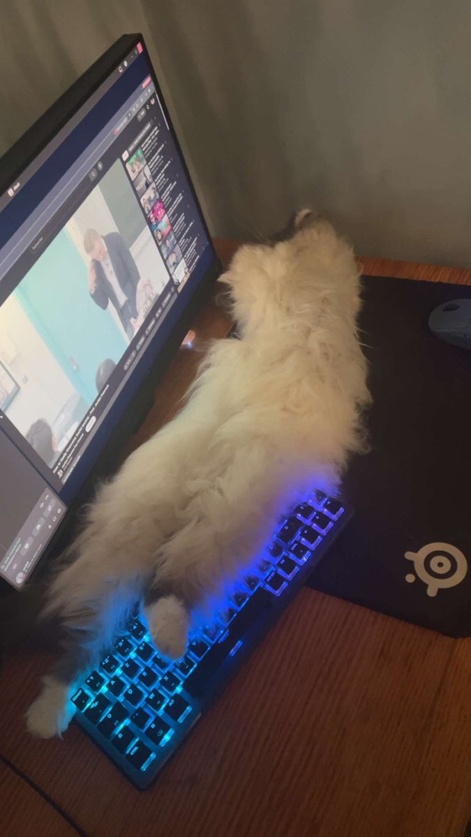 nkmoisii tweet media