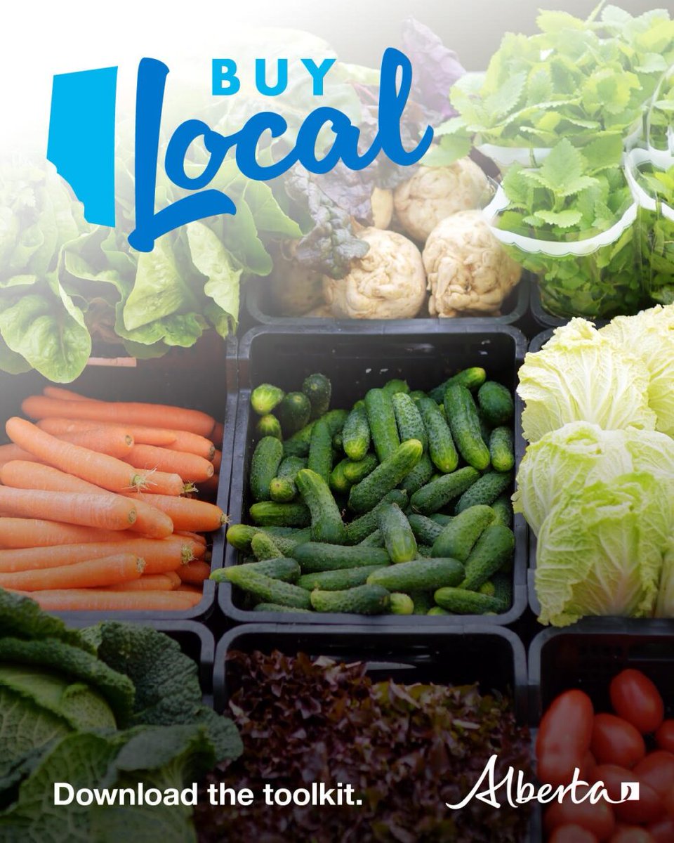 #BuyLocal! Every corner of AB is packed with hard-working folks producing nutritious food for Albertans, Canadians &amp; the world. Materials in our FREE toolkit help customers identify local products &amp; support neighbours. Get the toolkit: alberta.ca/buy-local-albe… 
#abag #buylocal
