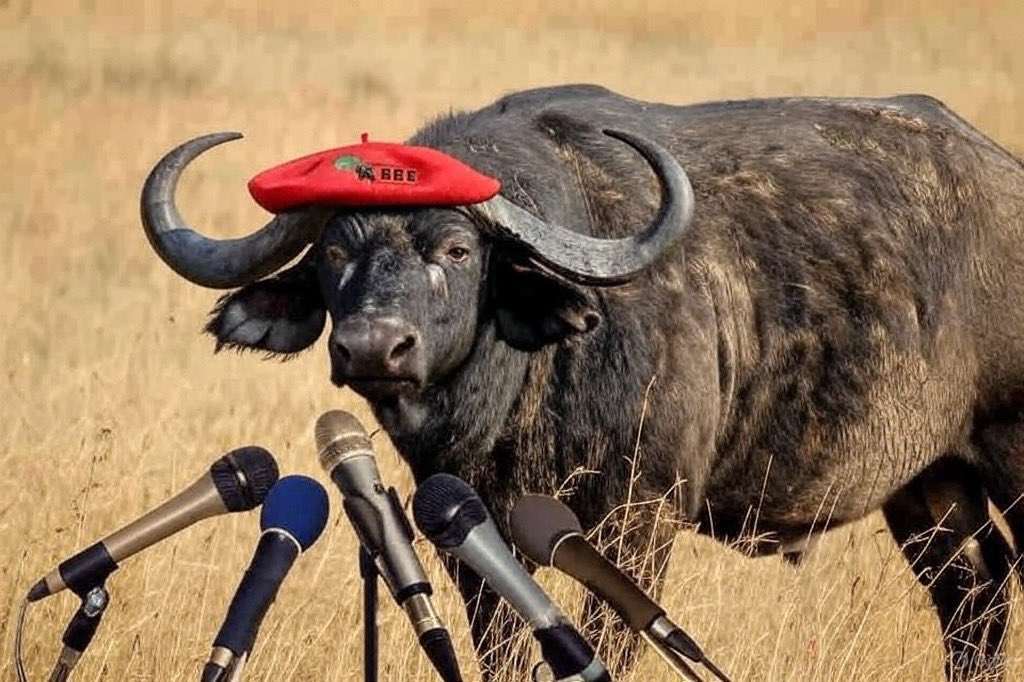 “He asked if there’s white Genicide in South Africa…. I said come lemme show you”