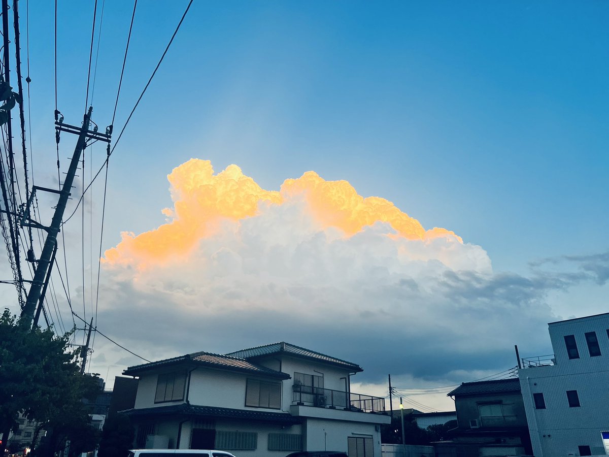 めっちゃラピュタありそう…