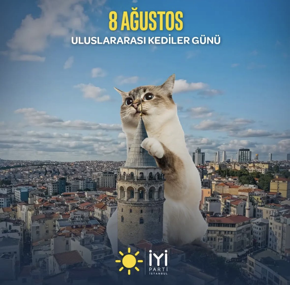 🐾 8 Ağustos | Uluslararası Kedi Günü 🐾
Kediler, binlerce yıldır bizimle aynı sokakları, aynı evleri, aynı hayatı paylaşıyor.
Ancak ne yazık ki her geçen gün, hayvana yönelik şiddet vakaları artıyor. Bu bir vicdan, bir hukuk ve bir insanlık sorunudur.

Bugün sadece bir kutlama