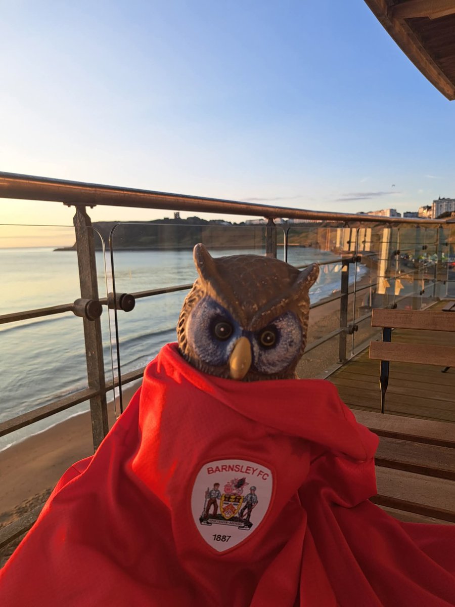 Even their Owl from S6 has jumped ship. Weren't getting fed any tuna