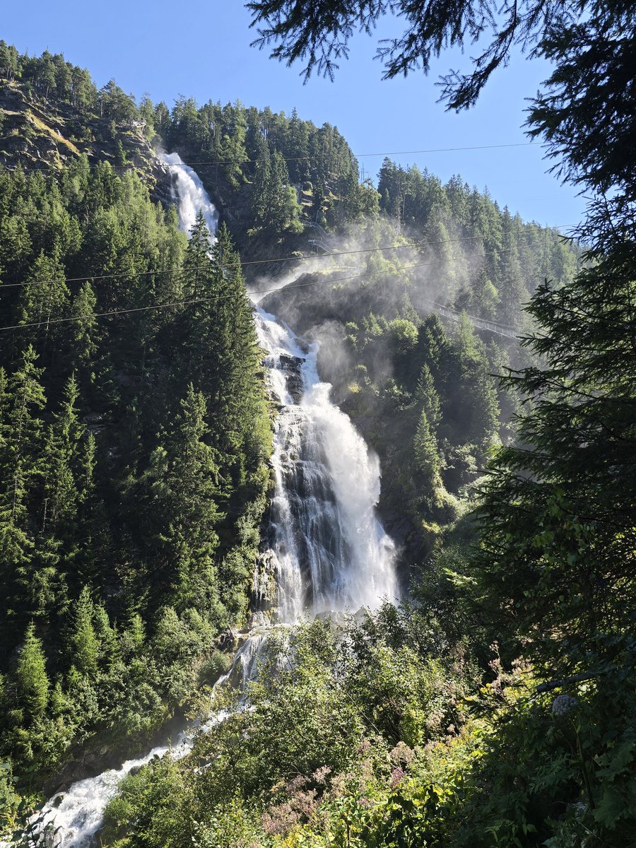 Tomas Hauer tweet media