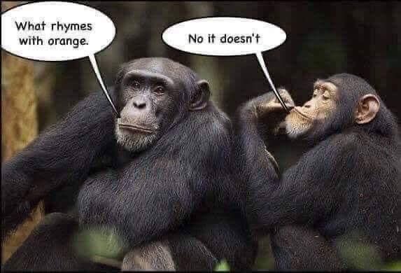 💂🏻‍♀️👋🏻вєαя🍻🇬🇧™ (@bigbearf1) on Twitter photo 