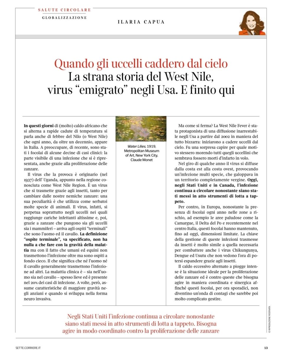 Ilaria Capua (@ilariacapua) on Twitter photo Le zanzare non sono solo fastidiose ed odiose. Sono anche pericolose.
#WestNile
#Dengue
#Chickungunya
<a href="/Corriere/">Corriere della Sera</a>
#SaluteCircolare Le zanzare non sono solo fastidiose ed odiose. Sono anche pericolose.
#WestNile
#Dengue
#Chickungunya
<a href="/Corriere/">Corriere della Sera</a>
#SaluteCircolare