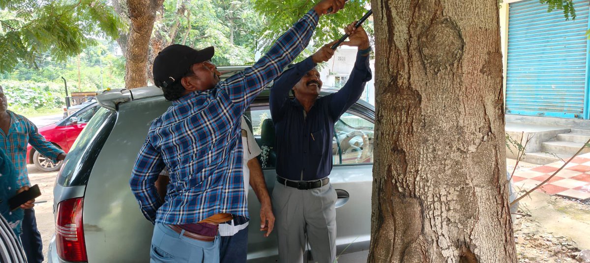 pargaien's tweet image. “Nail-free trees in Kothagudem”

Thanks @jiteshvpatil  @Collector_BDD for launching this “Service to Vanadevata” by removing nails, ropes, and advertisements from trees to prevent damage and protect greenery. Pics from Manuguru mandal. Let’s make our trees nail-free. #urbantree…
