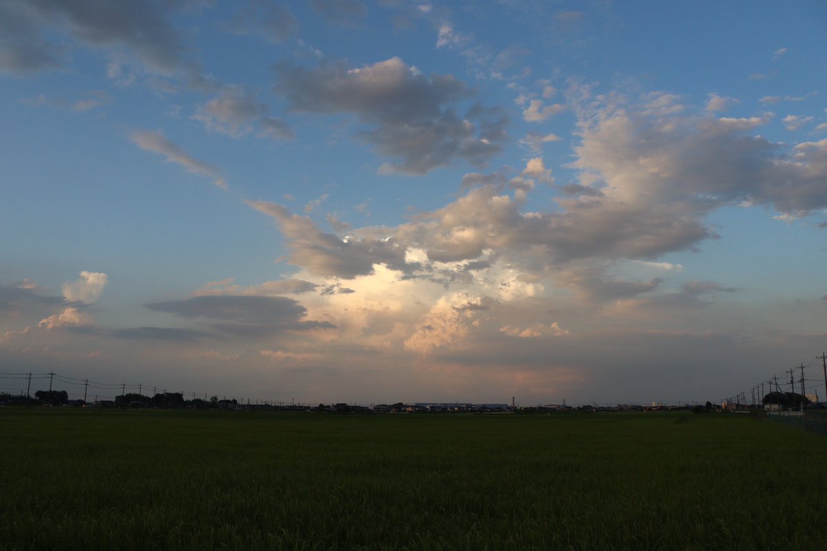 私を癒す為、魔物は夏に溶けてゆく