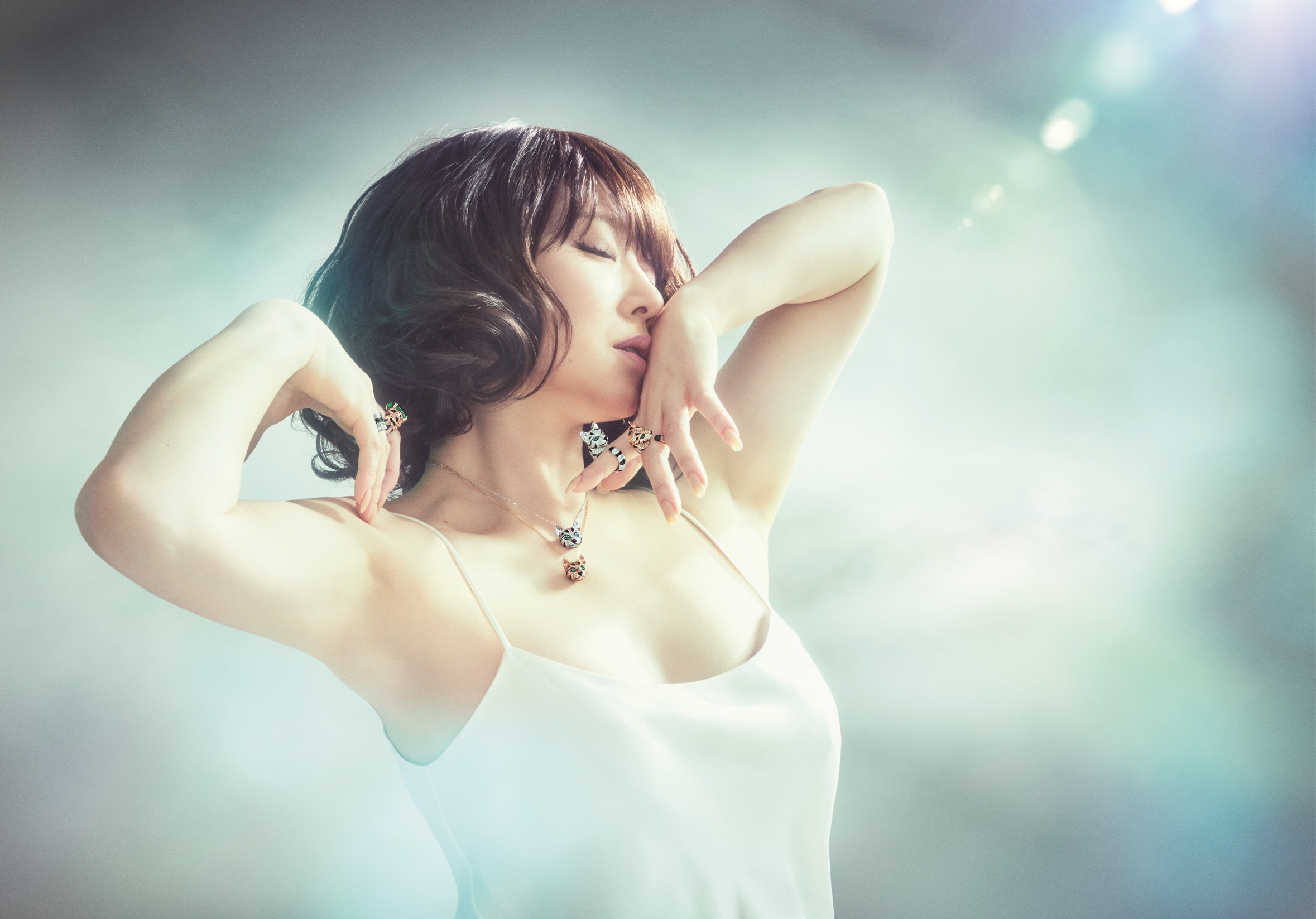 ブシュロン on X: 